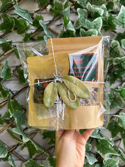 Festive Granola and Mulling Spice Gift Set